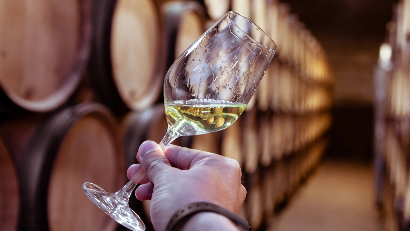 Chardonnay 