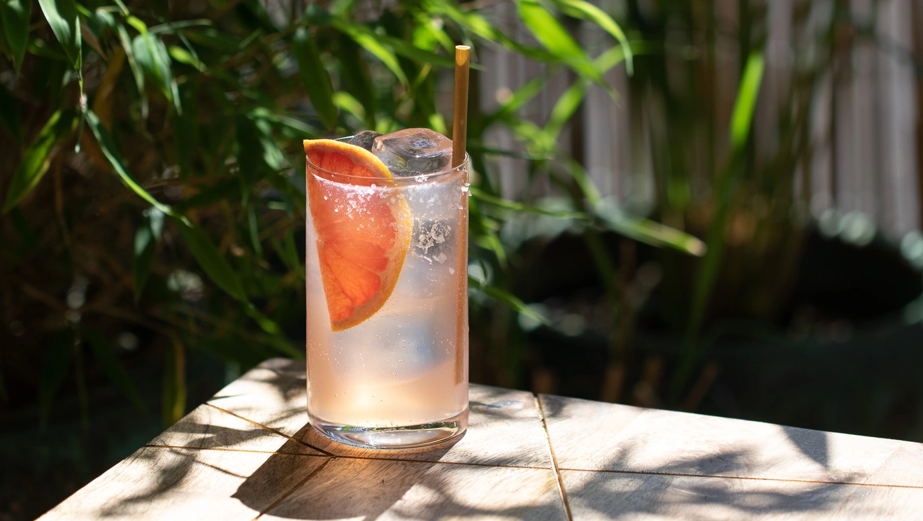 paloma