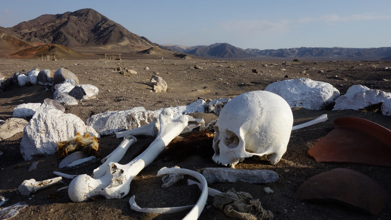 scull desert
