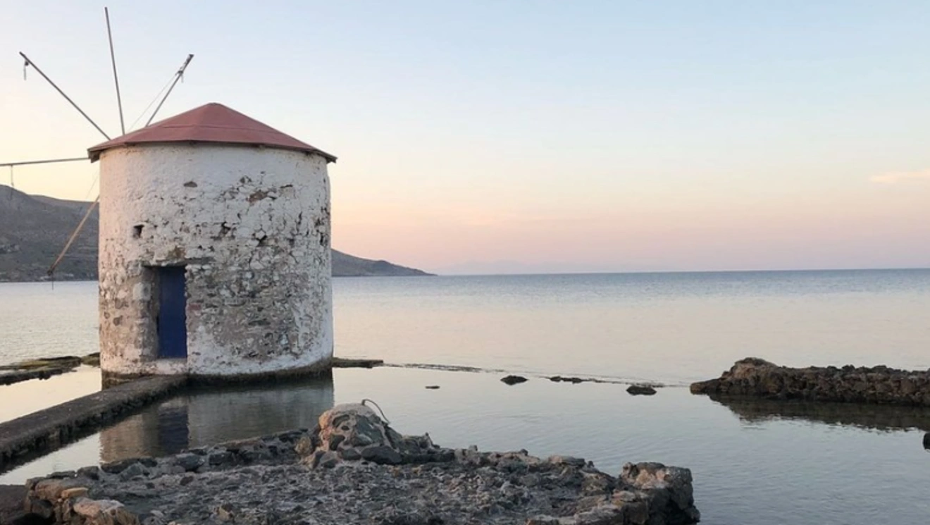 Mylos leros 