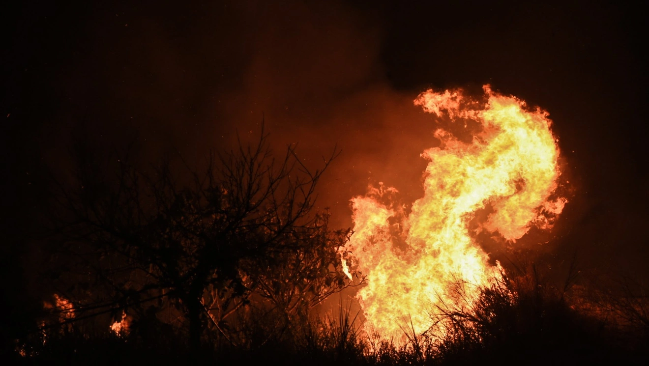 fire 