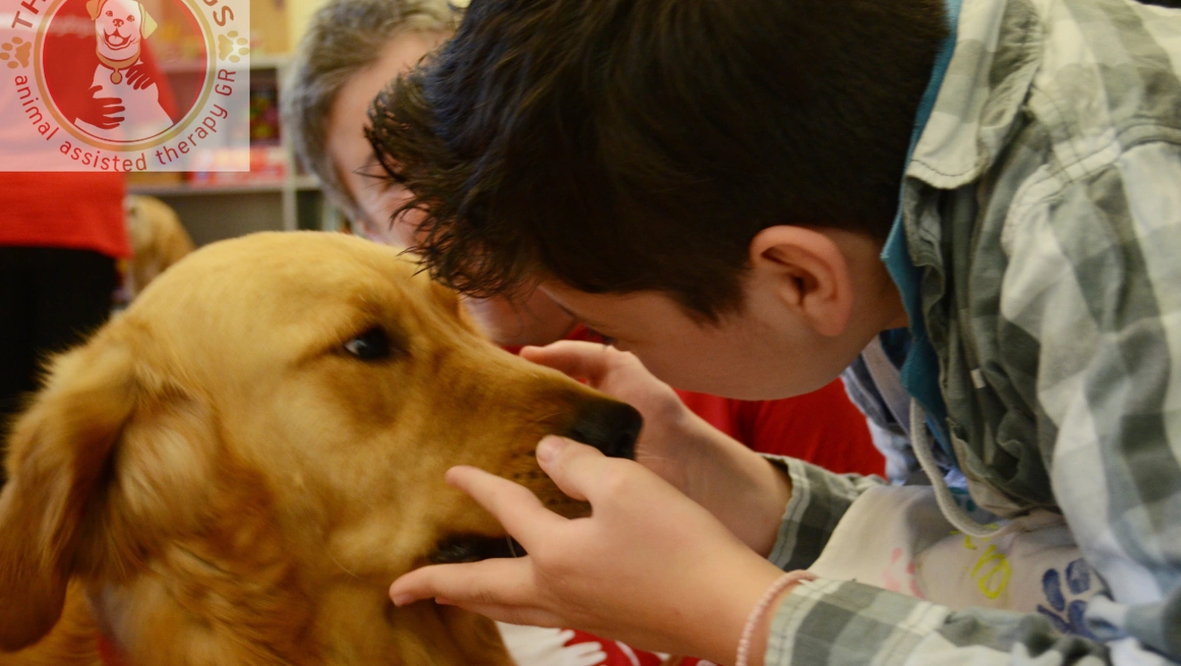 Therapy-dogs