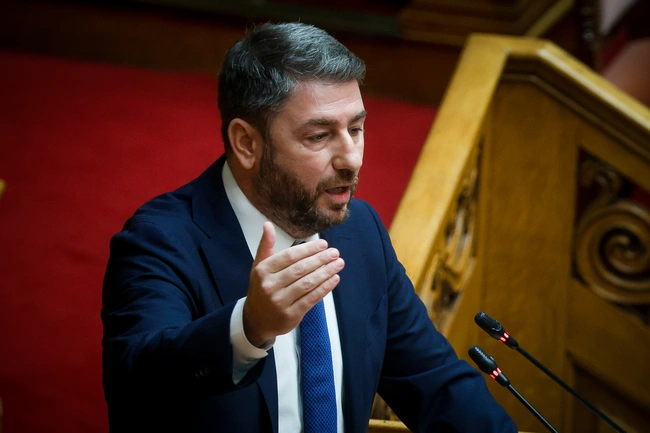 Νίκος Ανδρουλάκης