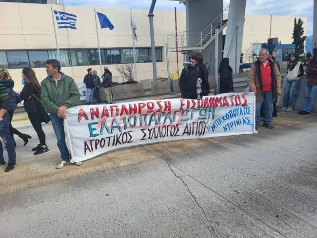 diodia-agrotes-2