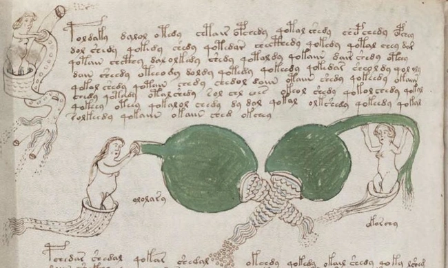 voynich