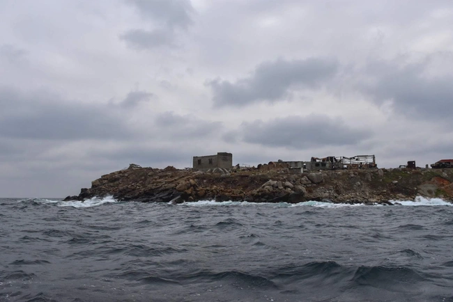 SNAKE ISLAND