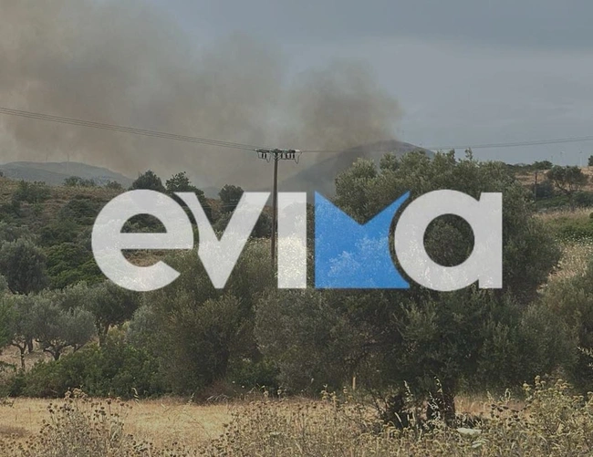 Φωτιά στην Εύβοια