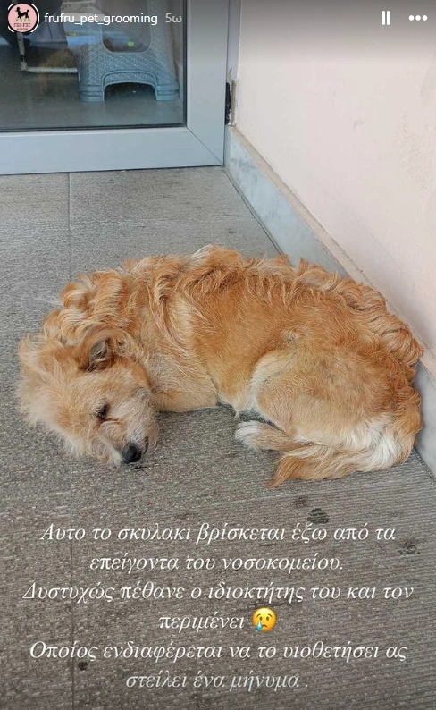 Ανάρτηση στα Τρίκαλα