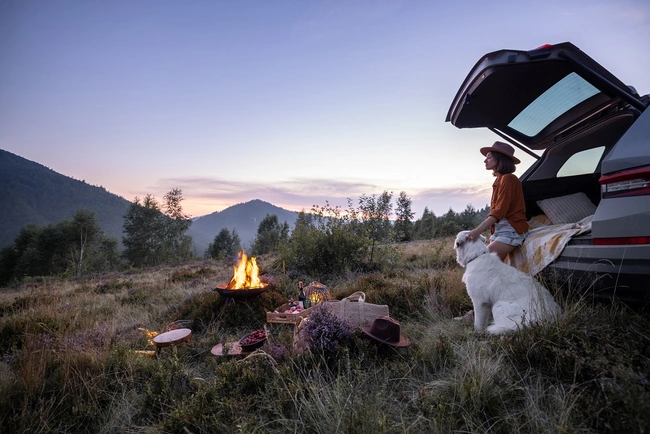camping with dog
