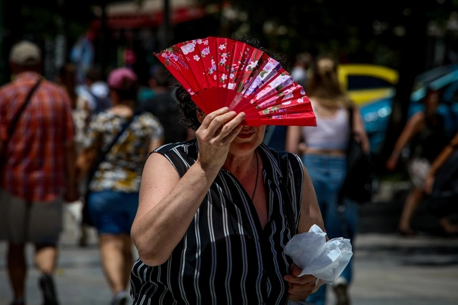 Ζεστός καιρός