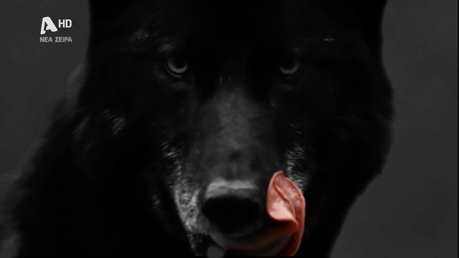 Teaser απο τη σειρα «Ο Τιμωρος» στον Alpha
