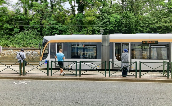 public transport