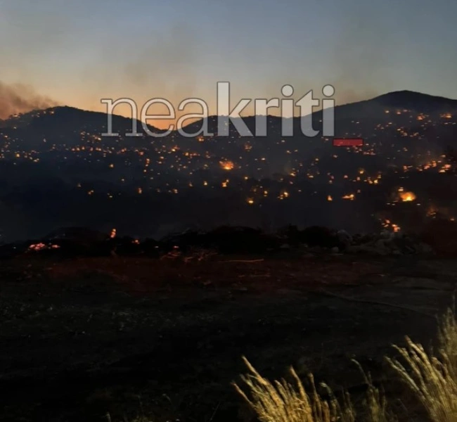 fotia-mesa
