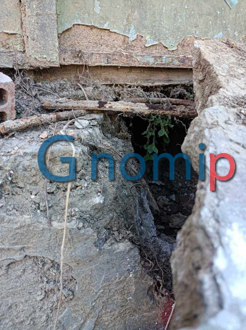 Βρήκαν γάτα κάτω από τσιμέντο στην Πάτρα