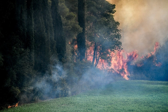 φωτιά Γεράκι Αμαλιάδας