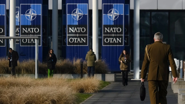 synodos nato
