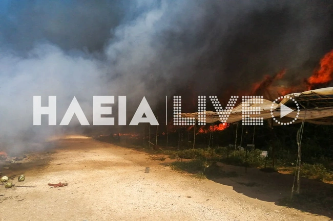 Φωτιά τώρα στη Μανωλάδα