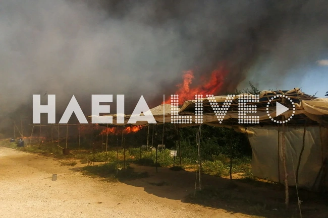 Φωτιά τώρα στη Μανωλάδα