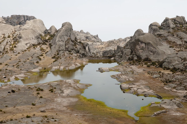 markawasi stone forest
