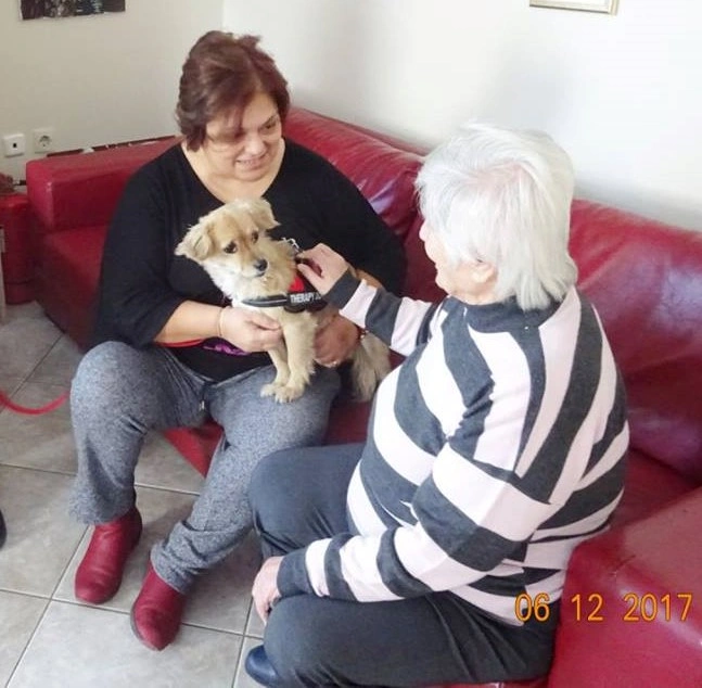 Therapy-dogs