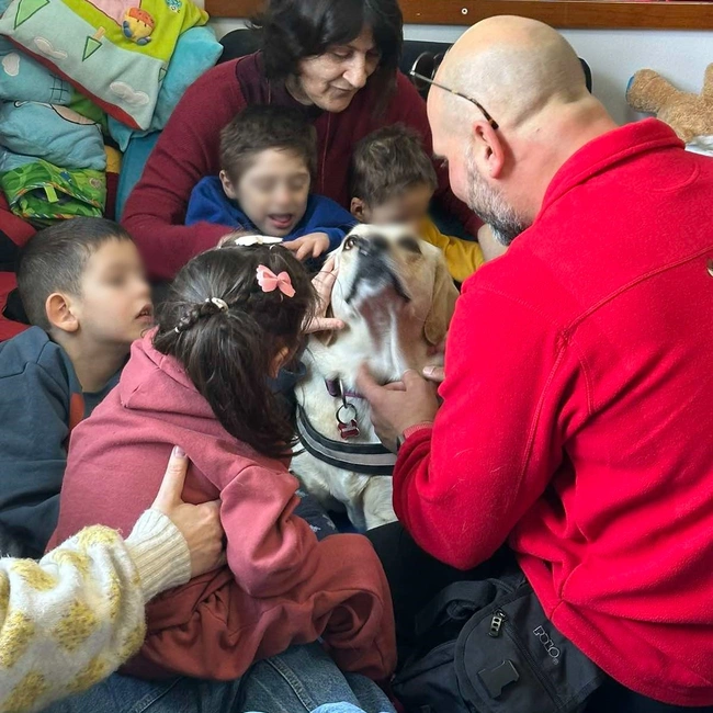 Therapy-dogs