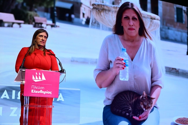 Zoi konstantopoulou