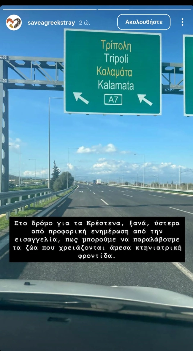 κακοποιηση-ζωων-καταγγελια-save-a-greek-stray