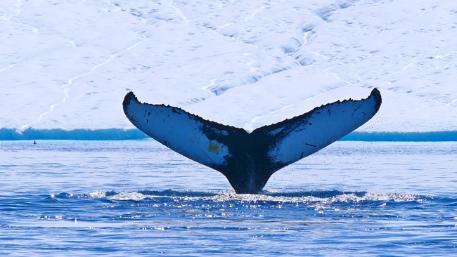 greenland