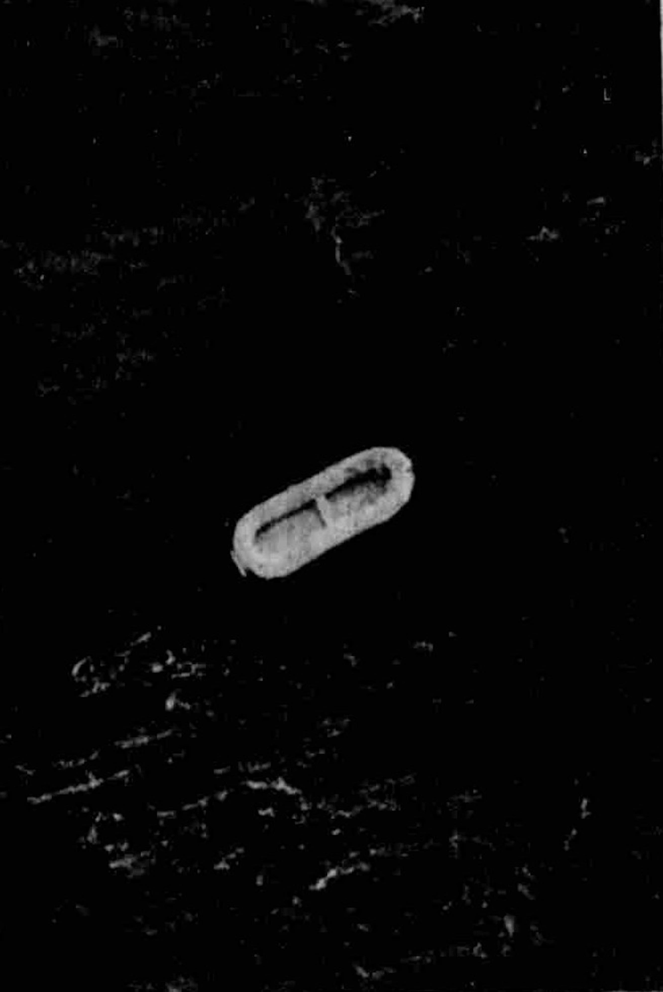 BARKA-IRAKLEION