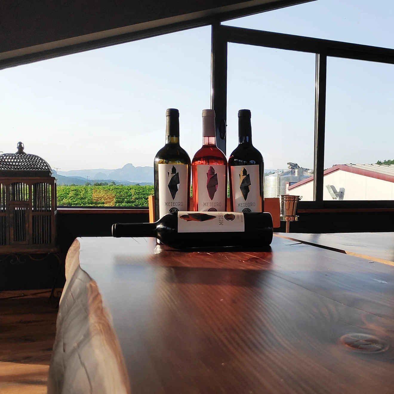 Meteoro Winery