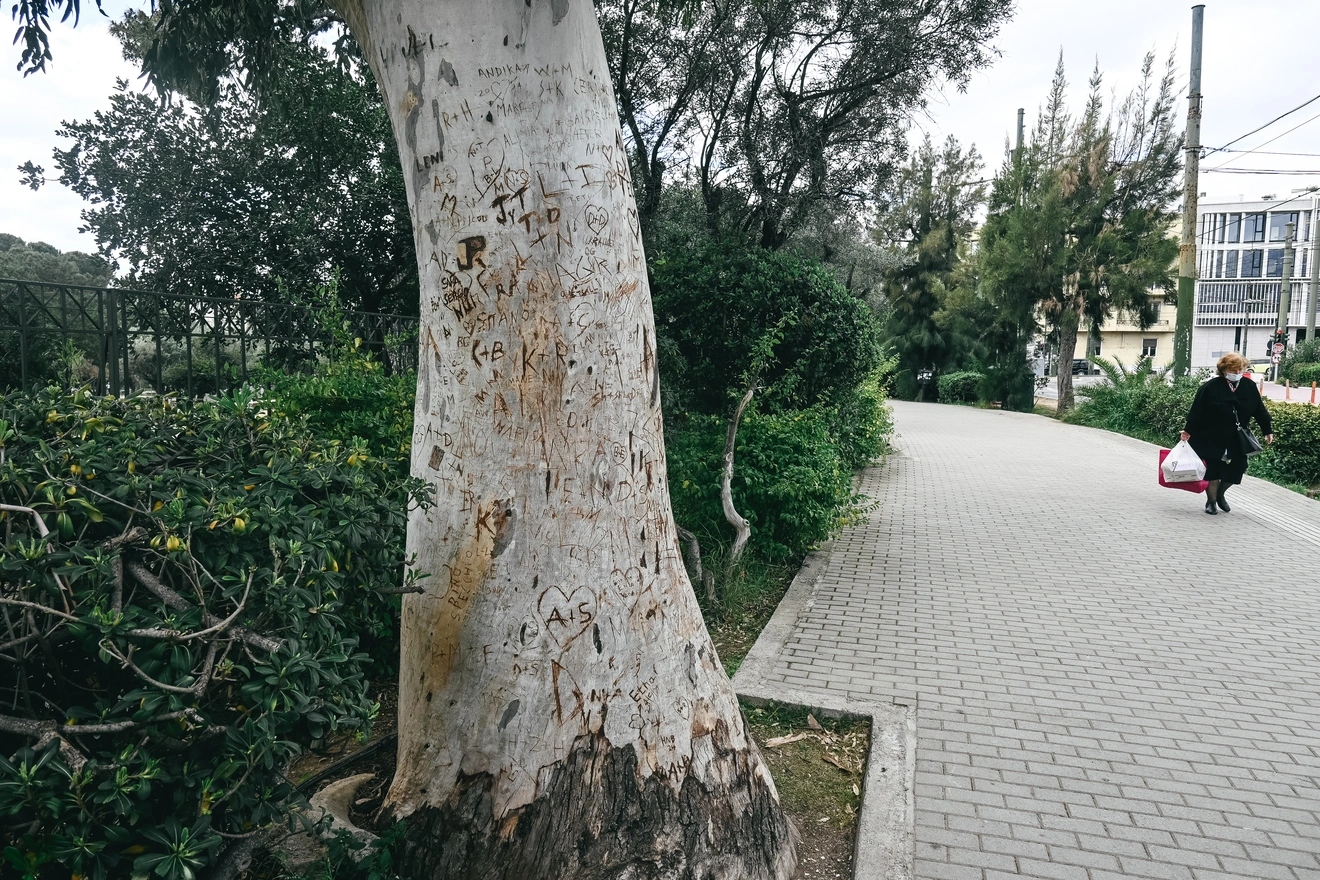 Δέντρο