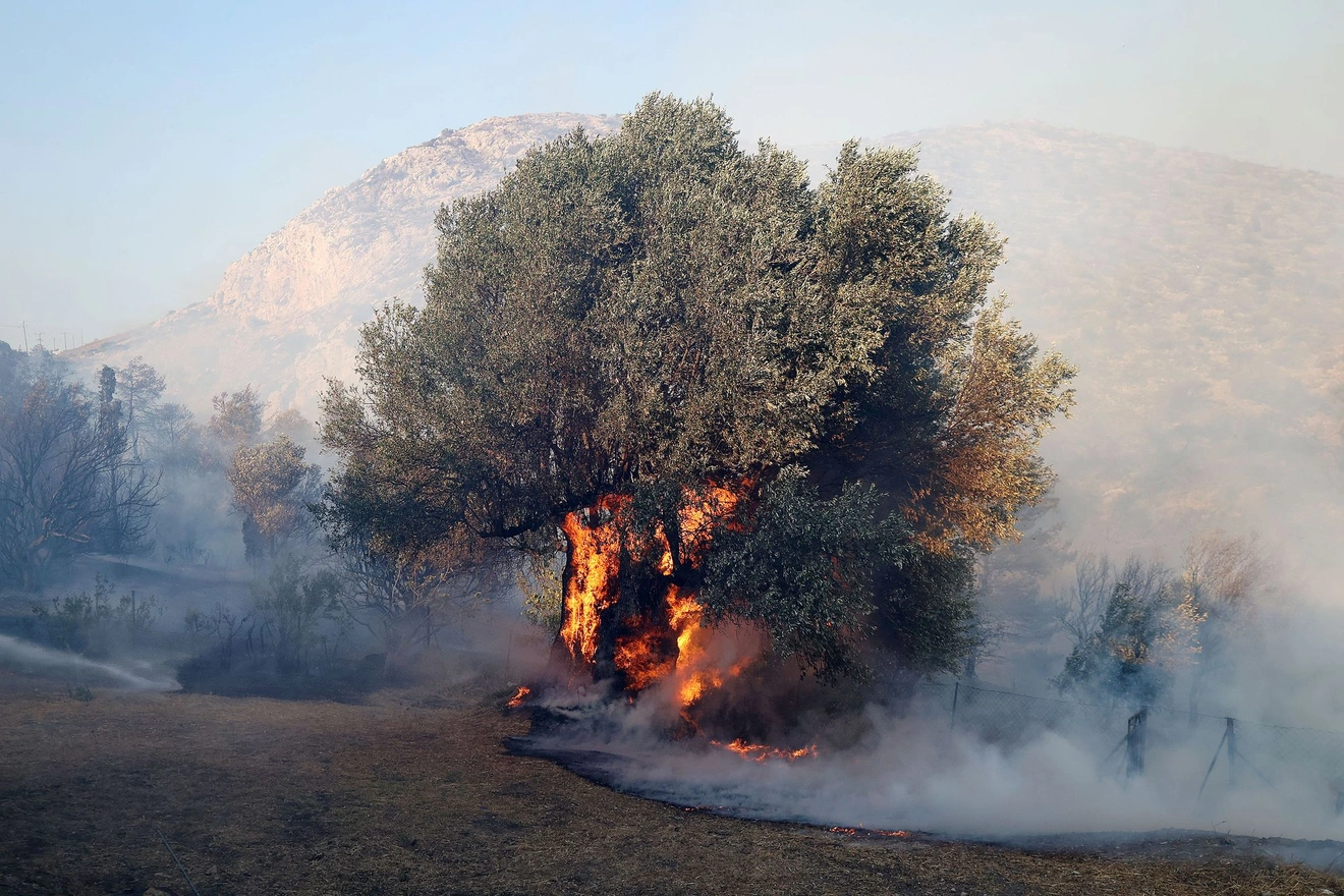 φωτιά Κερατέα