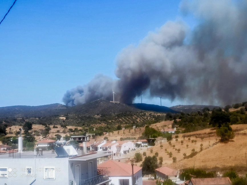 φωτια ευβοια