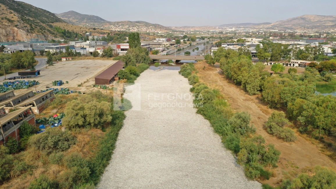 psaria-mesa