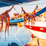 Ελληνική ταβέρνα