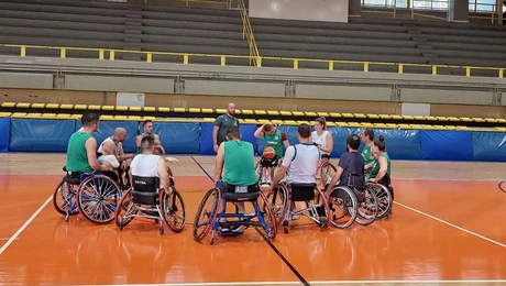 basket me amaksidia