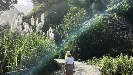 digital nomad