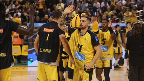 aris-basket