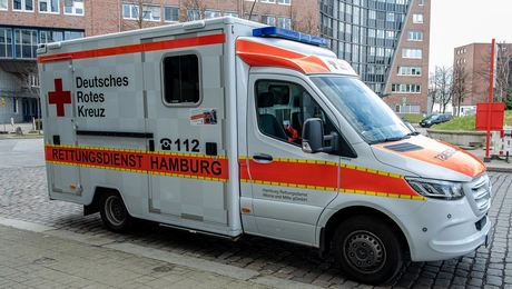 asthenoforo hamburg.jpg