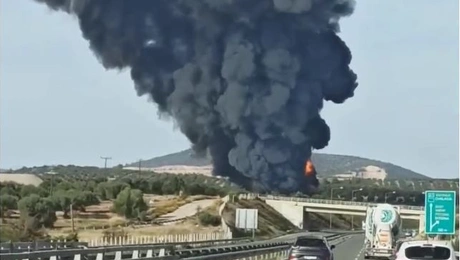Φωτιά σε εργοστάσιο στην Εύβοια