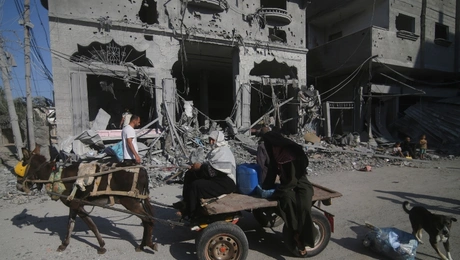 gaza