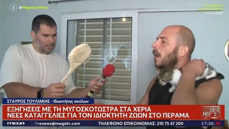 Ο άνδρας που κατηγορείται για κακοποίηση ζώων στο Πέραμα