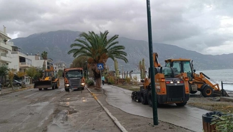 kalamata