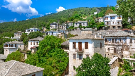 pilio