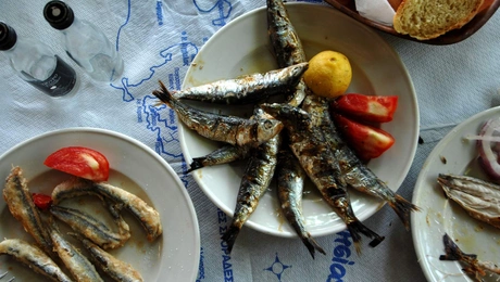 tsipoyro