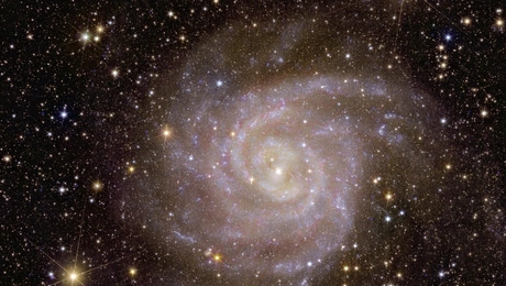 universe