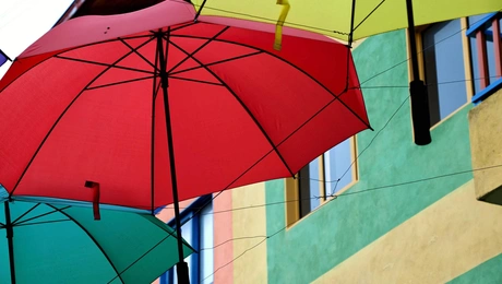 umbrella