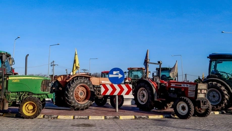 agrotes-mploko