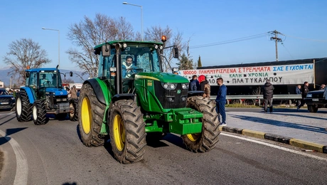 agrotes.jpg