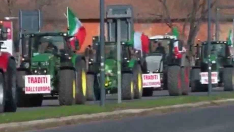 agrotes_italia